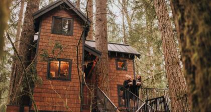 Iron & Vine Treehouse at Mount Rainier