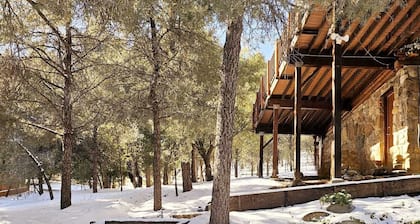Mountain Vista Hideaway: Glamping in Your Own Private Treehouse