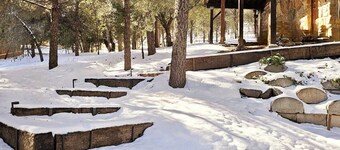 Mountain Vista Hideaway: Glamping in Your Own Private Treehouse