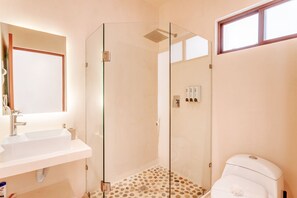 淋浴设施、吹风机、毛巾、肥皂