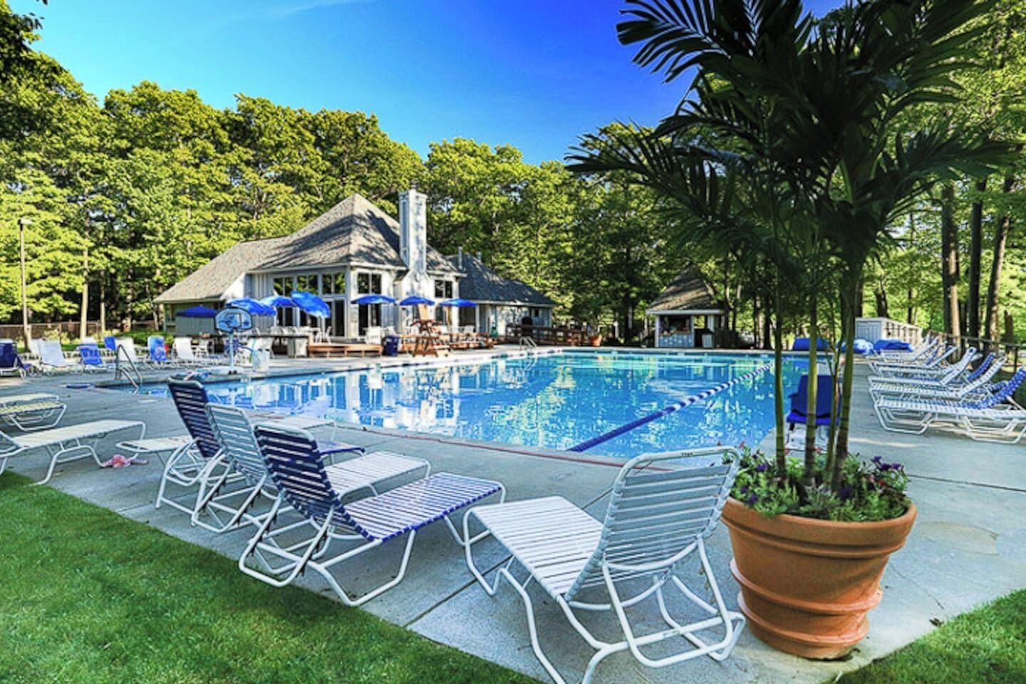 A swimming pool with lounge chairs and umbrellas, surrounded by trees and a building with a chimney.