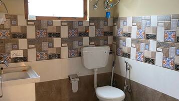 Shower, hair dryer, bidet, towels