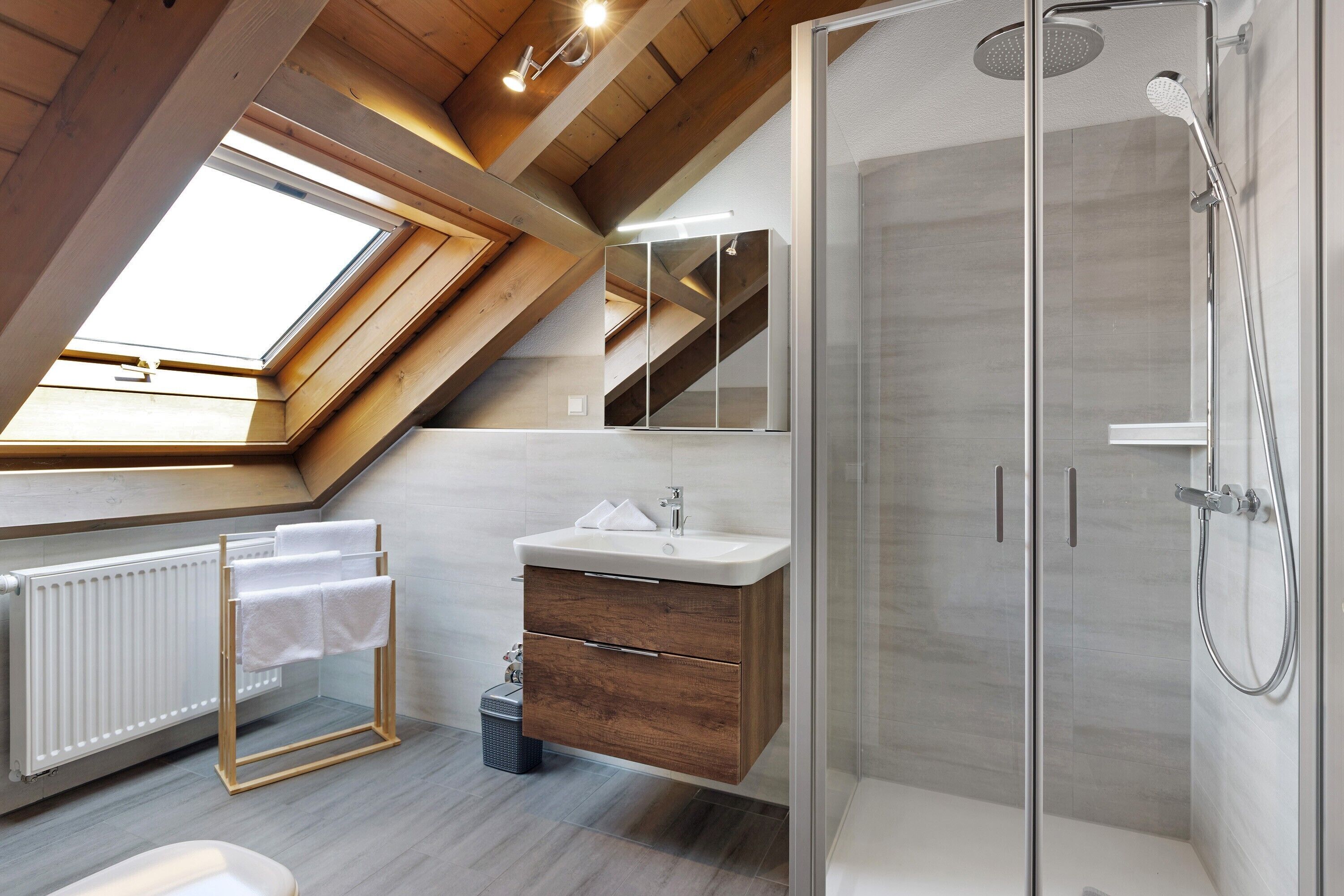 Shower, hair dryer, towels