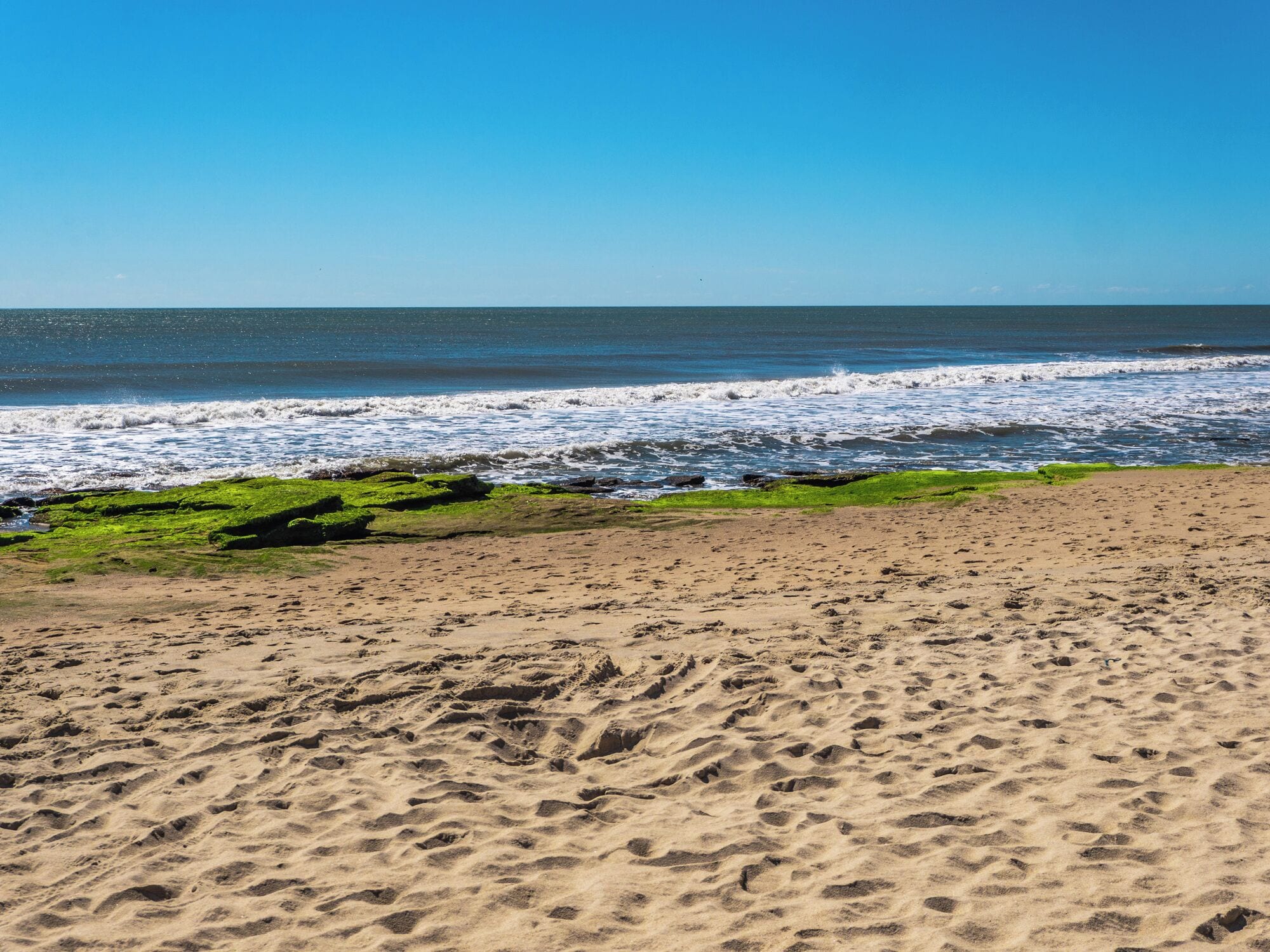 Ein sandiger Strand mit sichtbaren Fußabdrücken und grünen Algenflecken.