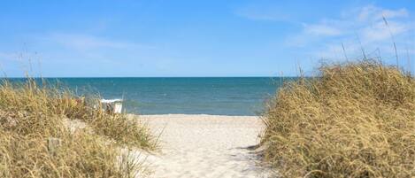 En sti af sand fører ned til havet, omgivet af højt græs.