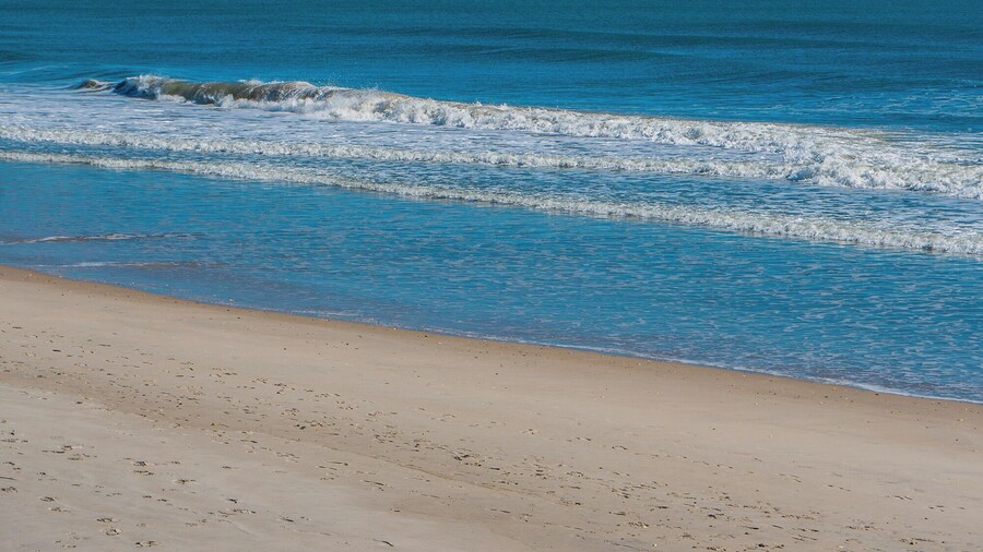 Surf Condos by Carolina Retreats