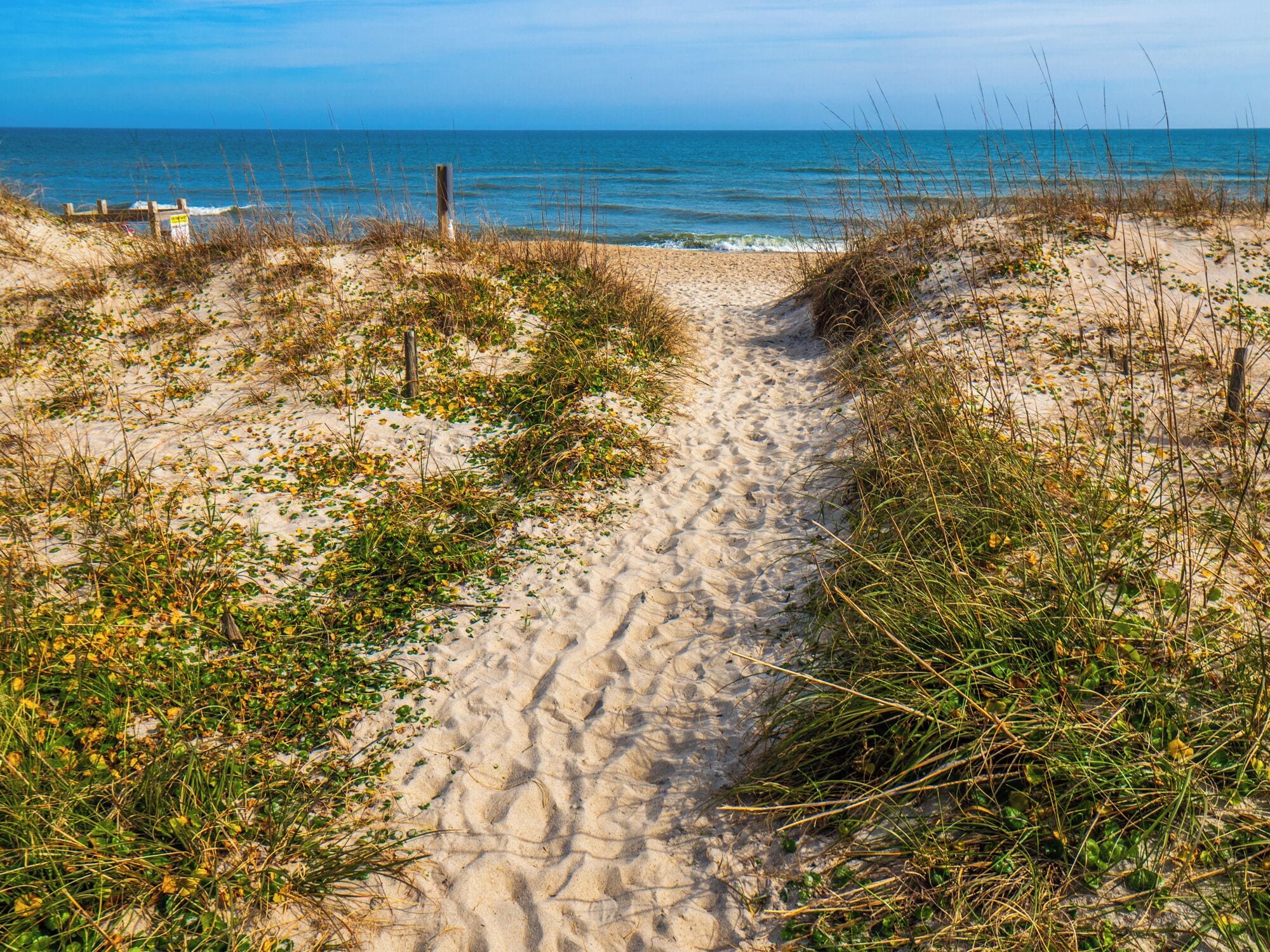 A sandy beach path leading to the ocean, surrounded by vegetation.