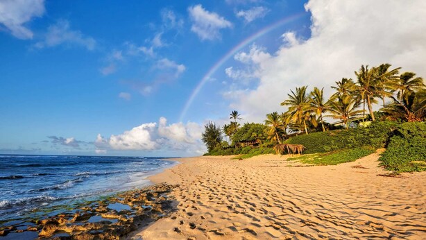 A beach with a rainbow, palm trees, and ocean waves. - @marbella Lane - Elegant 3BR w/ Marvelous Views (Waianae)