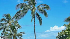 A residential area with a view of the ocean, palm trees, and a house with a stone foundation. - @ ML Aloha Hoonani 3BR Home MT & Ocean Views! (Waianae)