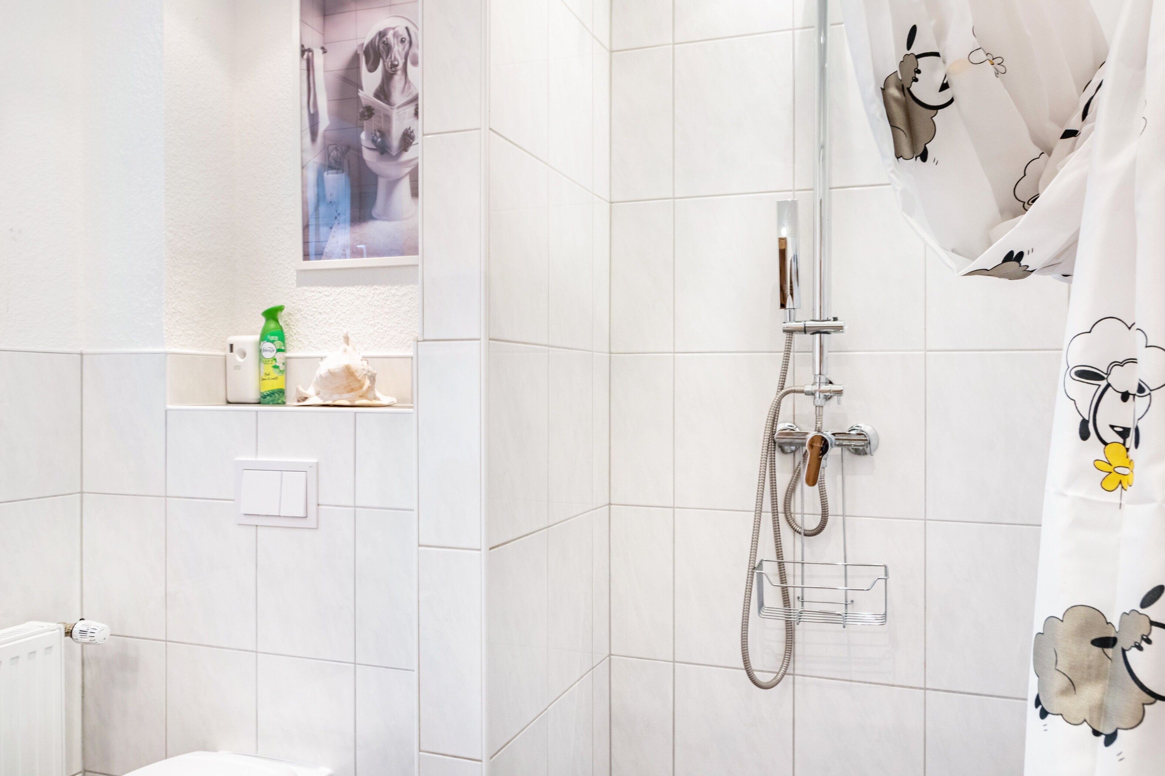 Dusche, Haartrockner, Handtücher