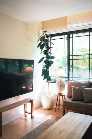 Smart TV