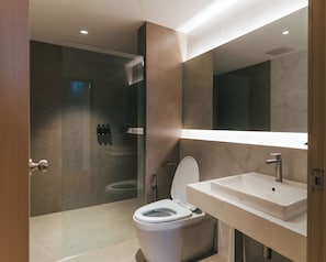 Shower, jetted bath, hair dryer, bidet