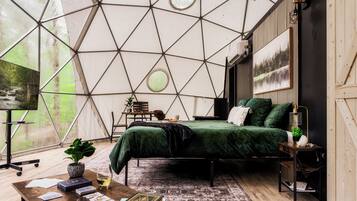 1 chambre, fer et planche à repasser, Wi-Fi, literie fournie