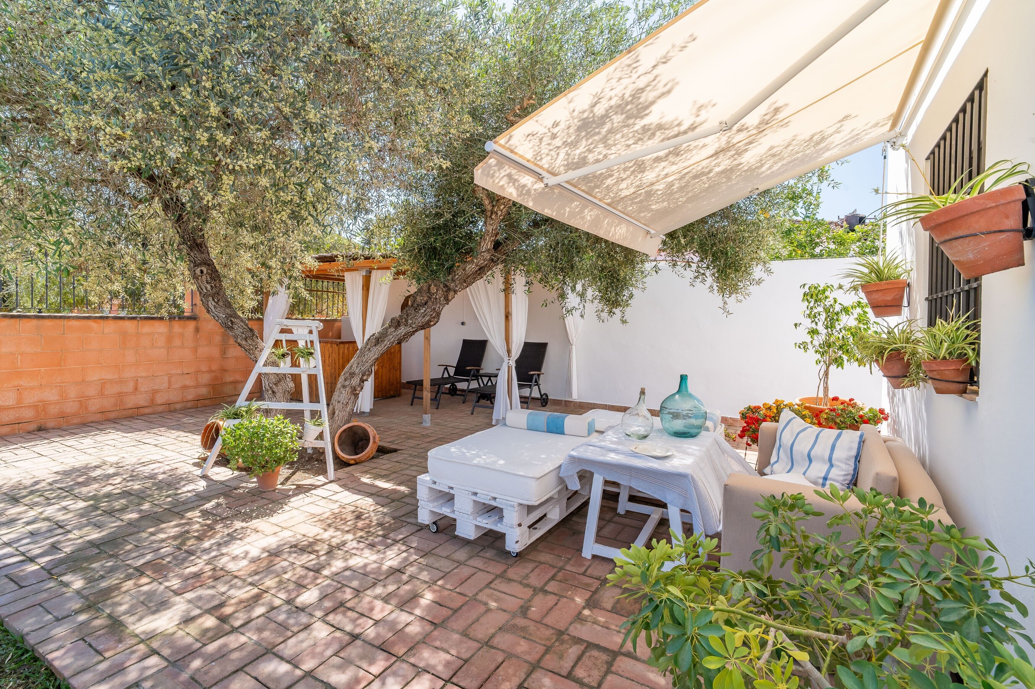 テラス / パティオ