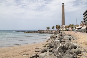 A coastal scene with a rocky beach, a tall tower, and a paved walkway with palm trees.