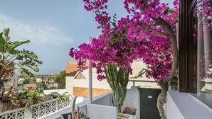 Un balcón con un cactus, buganvillas y vistas a edificios.