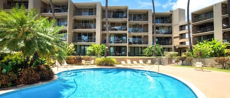 Condo (1 Bedroom) | Pool | Outdoor pool