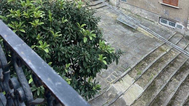 Una escalera conduce a un edificio con fachada amarilla, contraventanas rojas y una enredadera morada con flores.