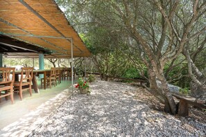 An outdoor dining area with wooden tables and chairs, surrounded by trees.