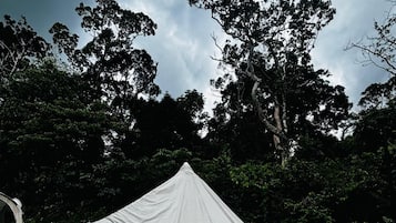 Tienda de campaña Confort | Vista desde la habitación