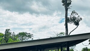 A small brick building with a metal roof, surrounded by greenery and a large tree.