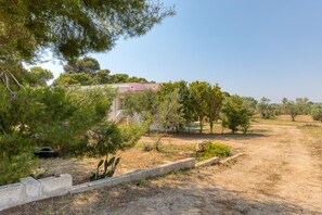 Parco della struttura