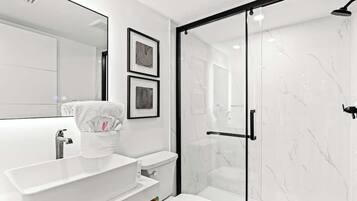 Shower, hair dryer, towels