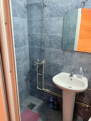 Ducha, secador de pelo, bidé y toallas