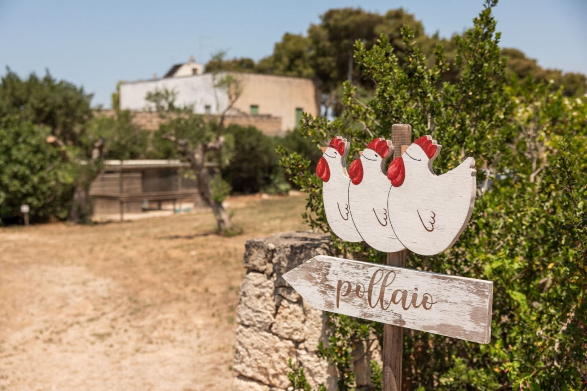 A rustic wooden sign with a chicken illustration and the word "pollaio" indicating a farm or rural area.