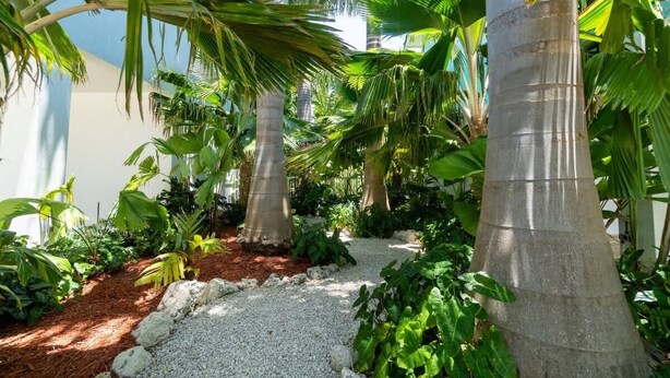 A tropical garden with palm trees, a gravel path, and various green plants.