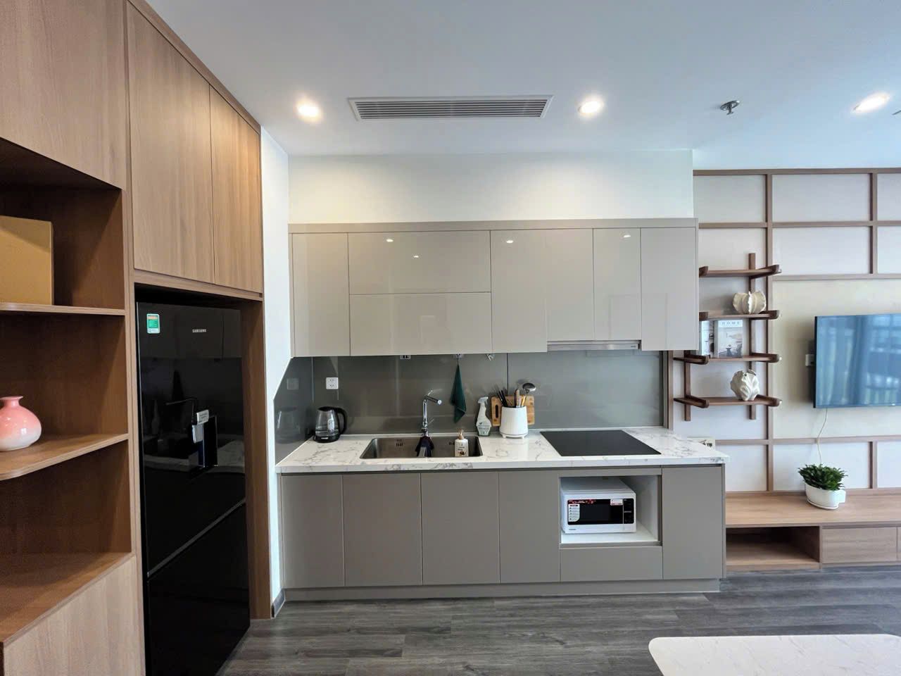 Standard Apartment, City View | Private kitchen | Fridge, microwave, stovetop, cookware/dishes/utensils