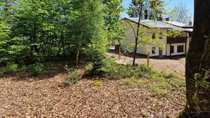 A building surrounded by trees and a forested area.