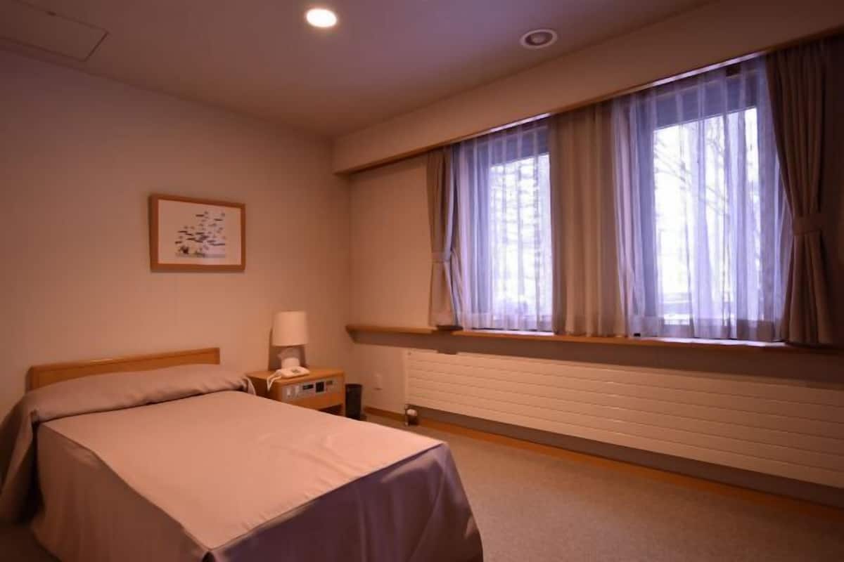 Desk, laptop workspace, free WiFi, individually furnished