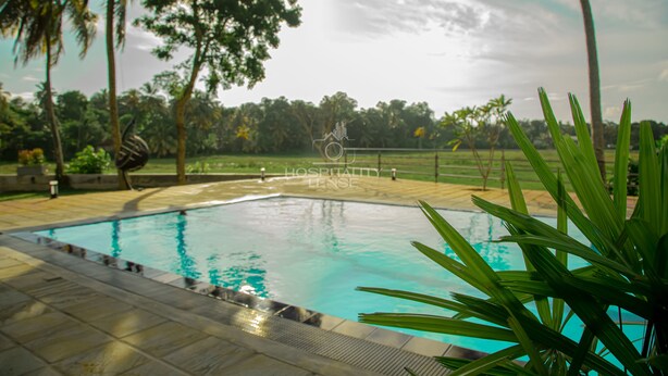 Una piscina con bordeado de baldosas, rodeada de palmeras y follaje.