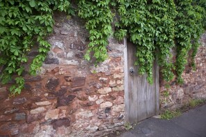 A stone wall with a wooden door partially covered by green ivy.