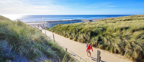 サンラウンジャー、ビーチタオル