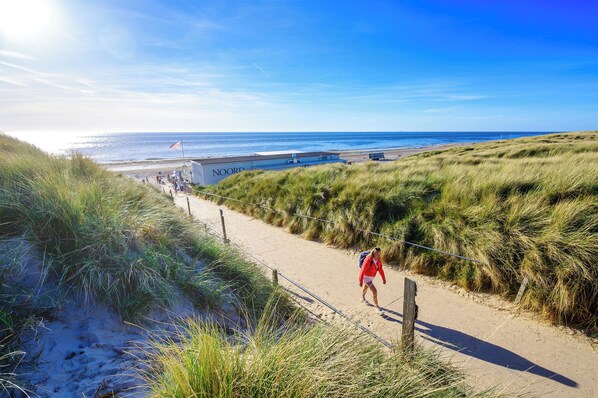 Camastros y toallas de playa