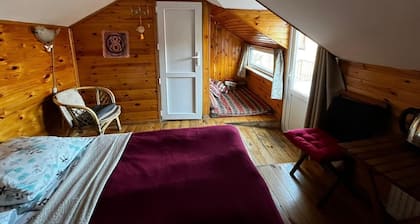 Charming bed & breakfast with WiFi, AC in lovely Sighnaghim