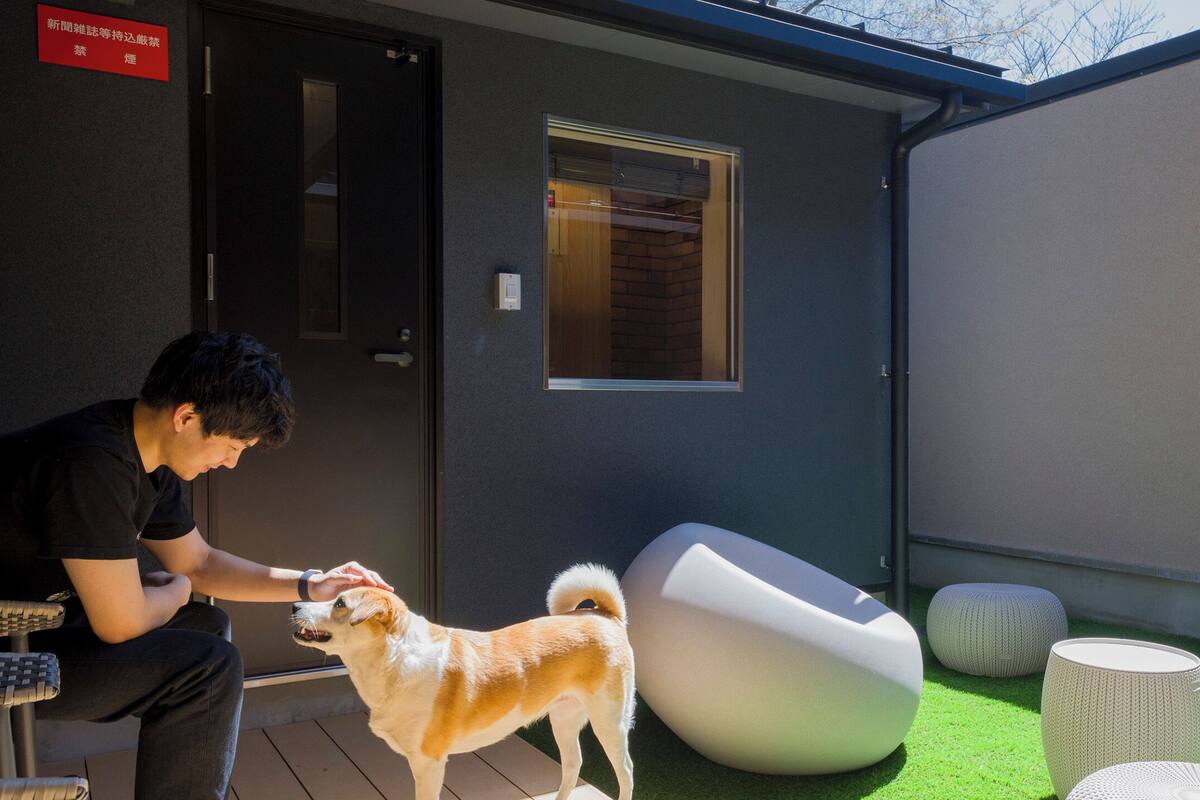 家庭别墅 ([B] Dog Friendly) | 办公桌、免费 WiFi、特色装修、床单