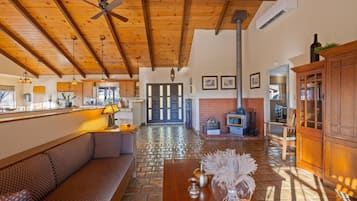 TV, fireplace, video games, ping pong