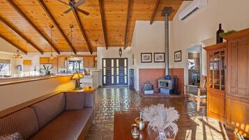 TV, fireplace, video games, table tennis