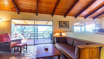 TV, fireplace, video games, ping pong