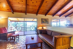 TV, fireplace, video games, ping pong