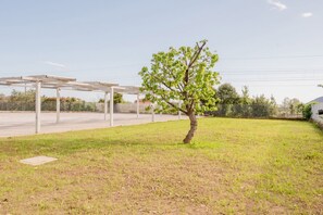 A tree in a grassy area with a covered structure in the background.