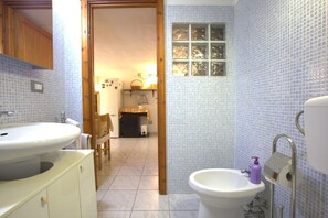 Shower, hair dryer, bidet, towels