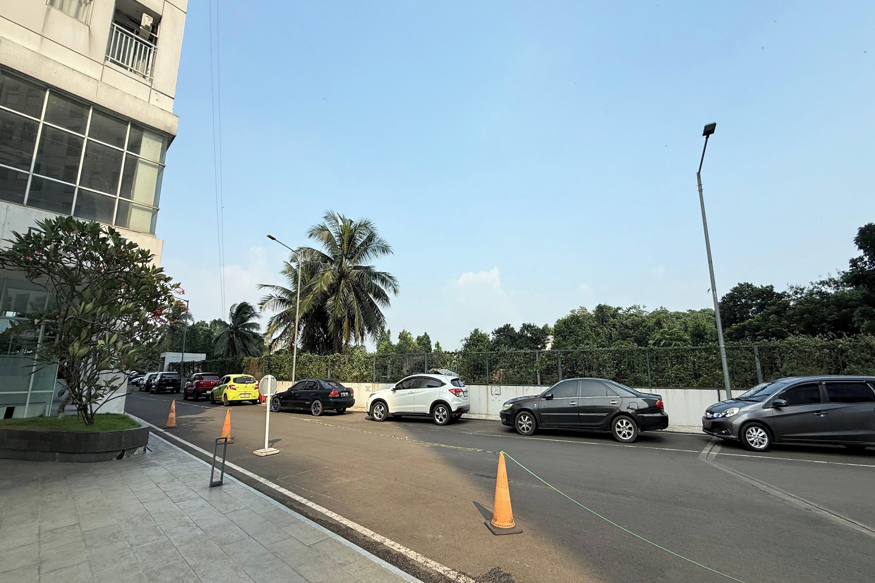 Un parking avec plusieurs voitures, un bâtiment doté de grandes fenêtres et un palmier.
