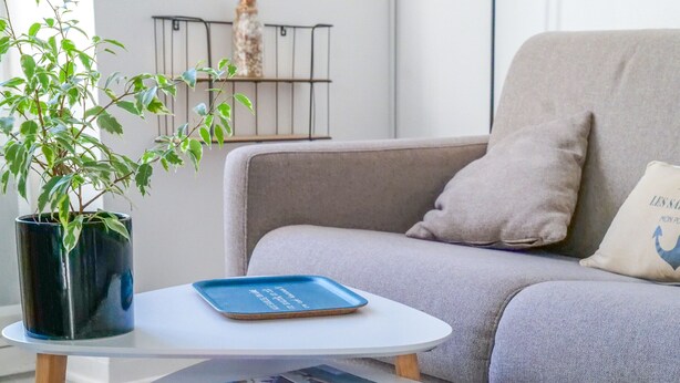 A modern living room with a grey sofa, a small white table with a blue tray, a potted plant, and a magazine. - Charming Studio for 2/4 Guests – City Center (Les Sables-d´Olonne)