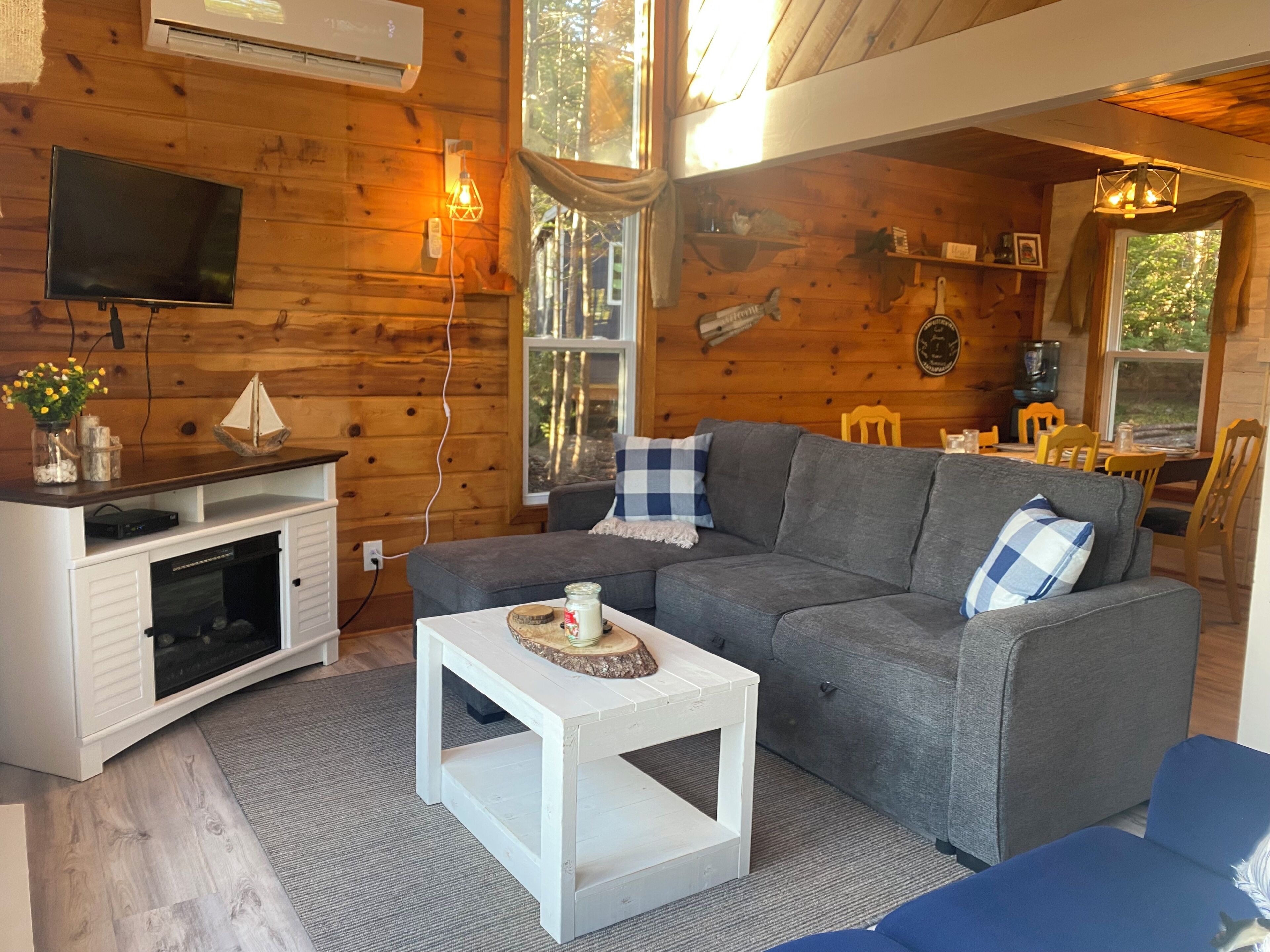 Smart TV, caminetto, libri