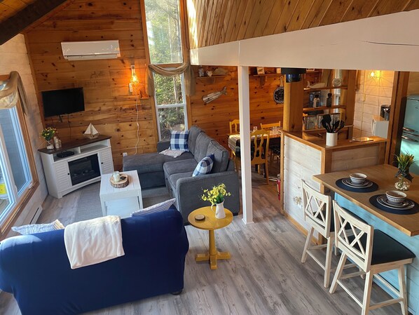 Smart TV, fireplace, books