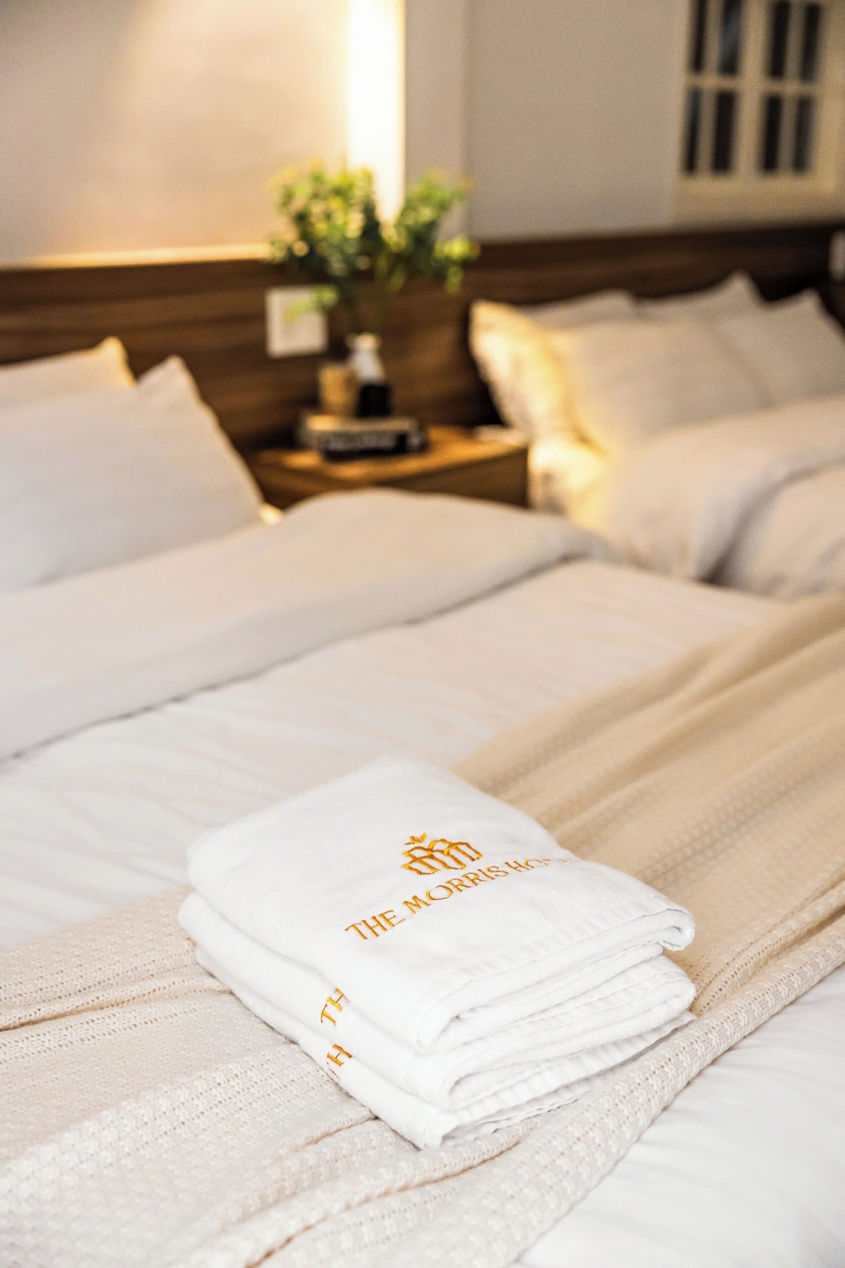 A neatly made bed with folded white towels and a blanket, a wooden headboard, and a bedside table with a plant and a book.